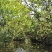 lake_mandicocha_la_v_0224_ecu0927.jpg
